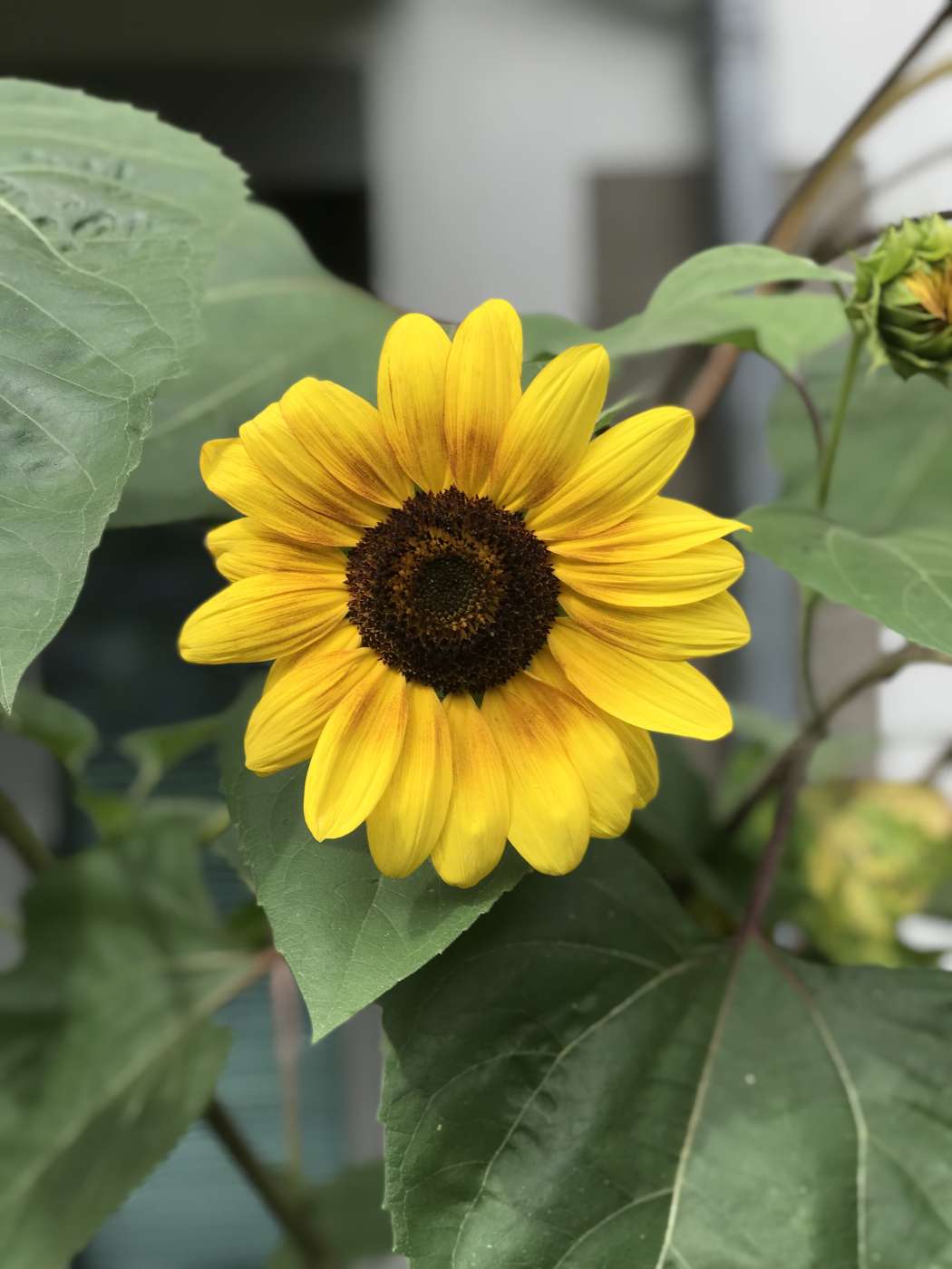 Alexander Hauk / alexander-hauk.de // PIXELIO.de